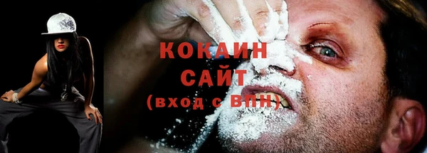 a pvp Бородино