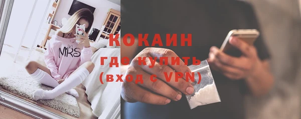 a pvp Бородино