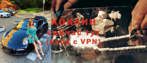 a pvp Бородино