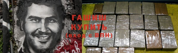 a pvp Бородино
