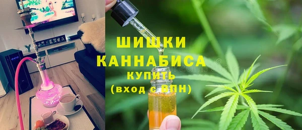 a pvp Бородино