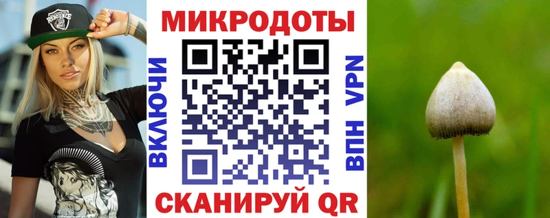 Купить где  Трёхгорный  Псилоцибиновые грибы Cubensis 